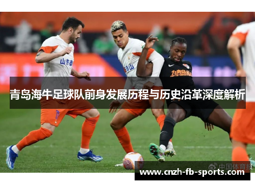 青岛海牛足球队前身发展历程与历史沿革深度解析 青岛海牛足球队前身发展历程与历史沿革深度解析