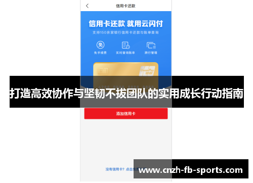 打造高效协作与坚韧不拔团队的实用成长行动指南