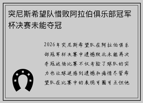 突尼斯希望队惜败阿拉伯俱乐部冠军杯决赛未能夺冠 突尼斯希望队惜败阿拉伯俱乐部冠军杯决赛未能夺冠